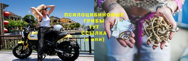 ГАЛЛЮЦИНОГЕННЫЕ ГРИБЫ Волосово